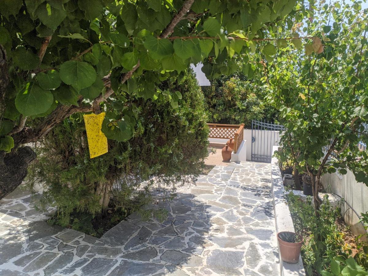 Iliakti Relaxing Seaside Villa Salamis Luaran gambar